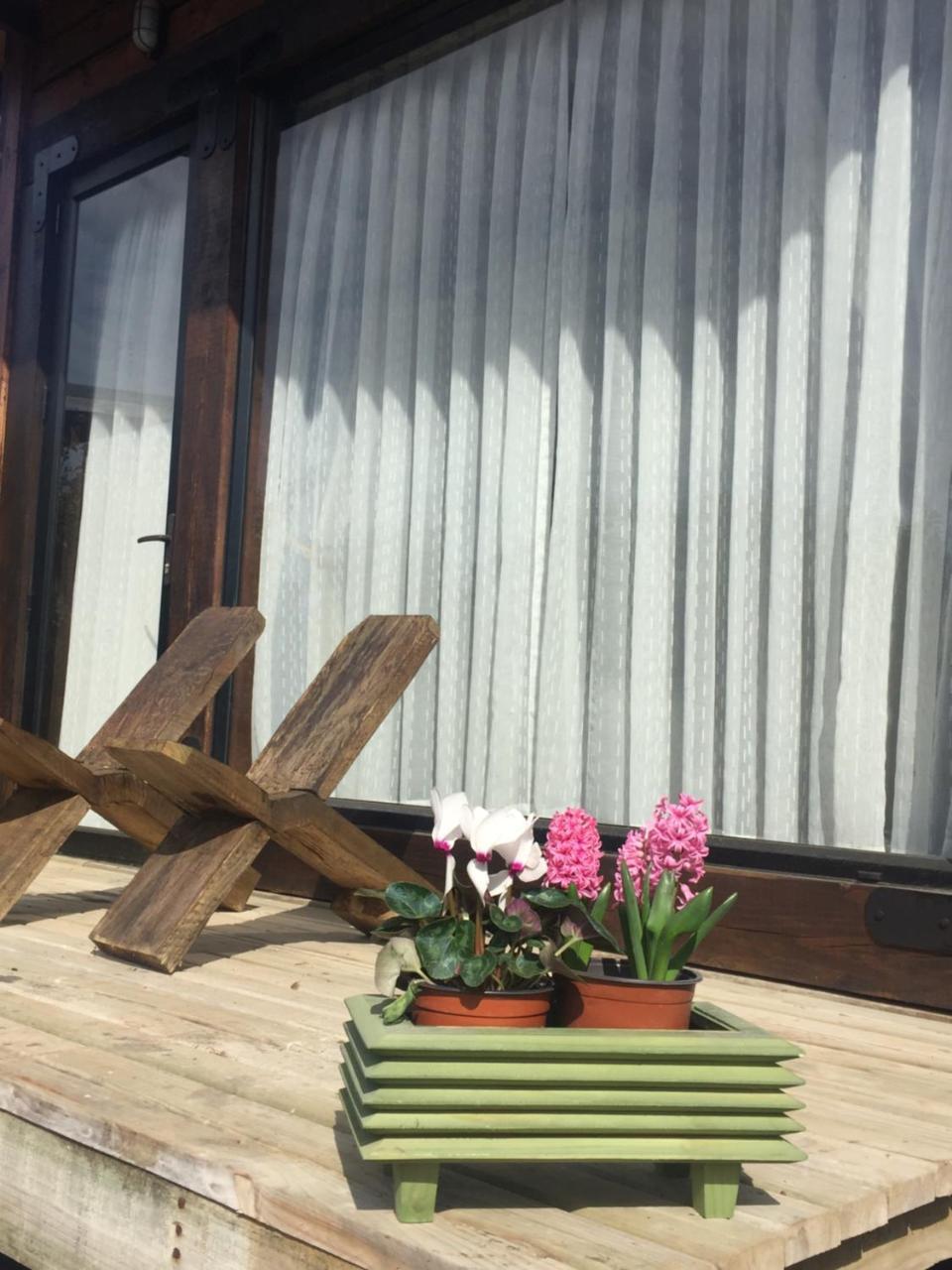 Palo Santo Bed & Breakfast Pichilemu Exterior photo