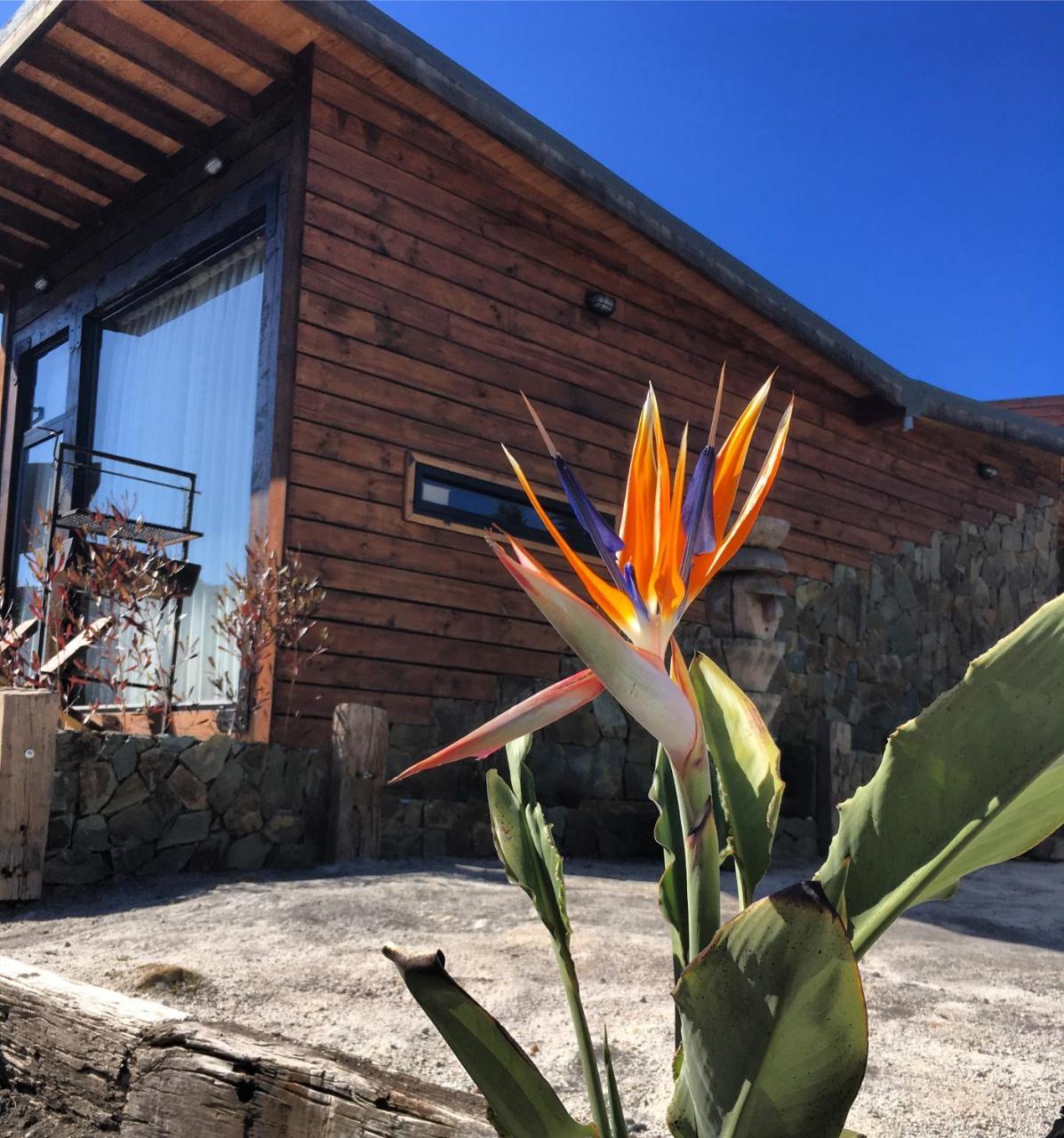 Palo Santo Bed & Breakfast Pichilemu Exterior photo